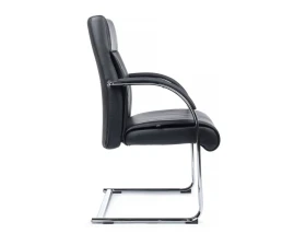 Кресло RV ДИЗАЙН Гастон-СФ / Gaston-SF (9364) images