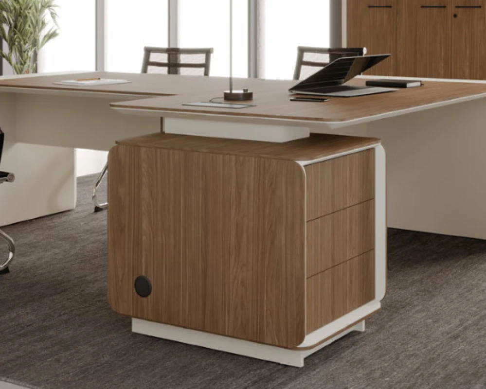 Кабинет руководителя Gio