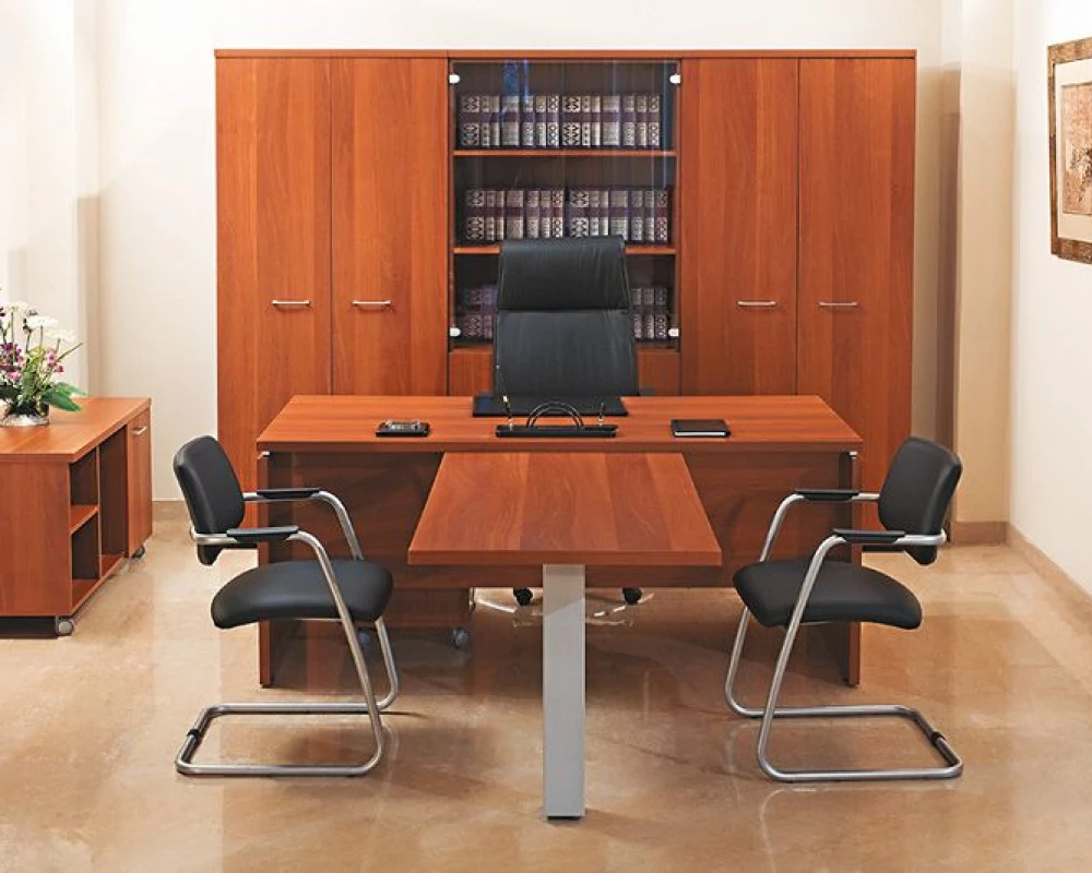 Кабинет руководителя Патриот