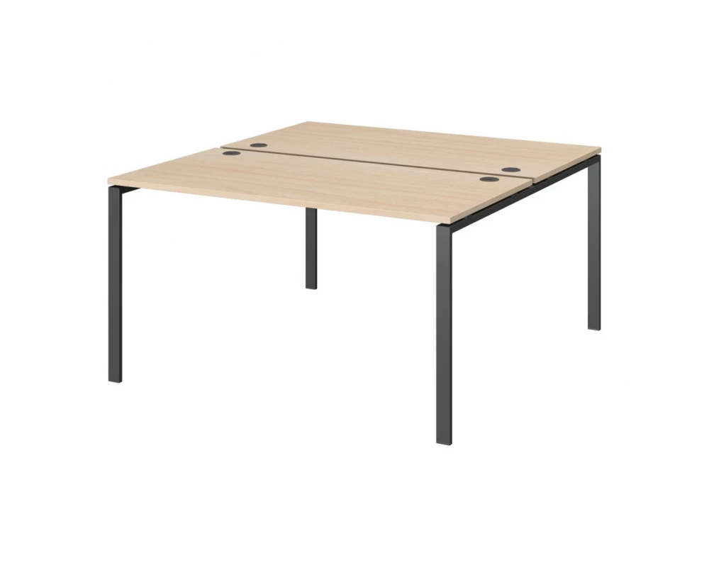 Бенч двойной на 2 рабочих места АМБ-005 Арго-М